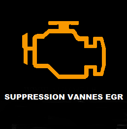 SUPPRESSION VANNE EGR