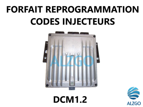 FORFAIT REPROGRAMMATION CODE INJECTEUR DCM1.2